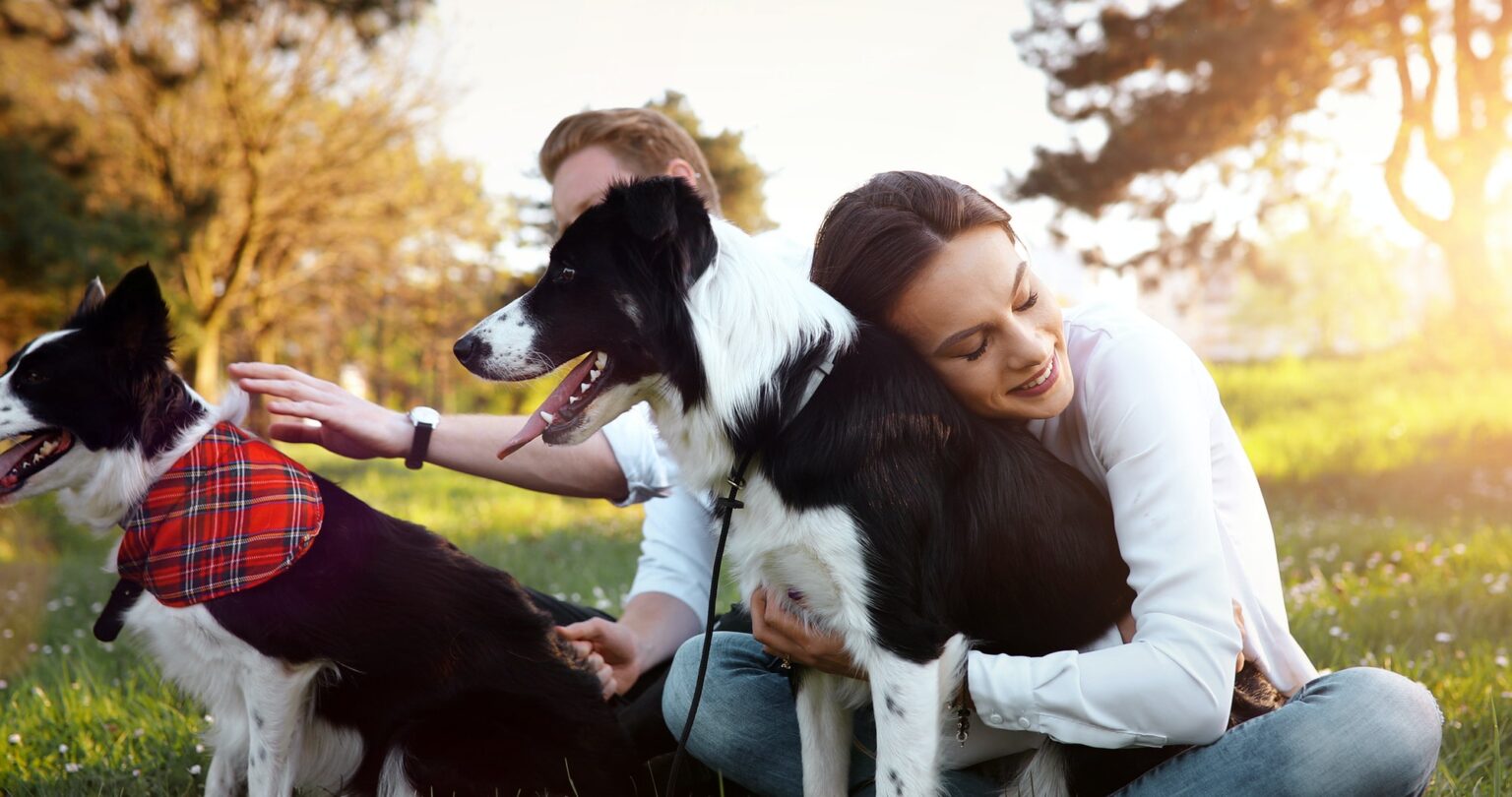 Pourquoi Est Il Important Déduquer Son Chien Chenil De Retzfr